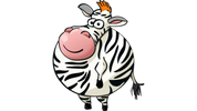 Zebra shar-інтернет магазин повітряних кульок з доставкою в Одесі