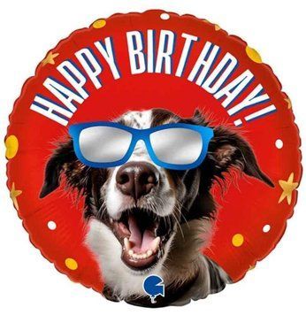 Фольгированный шар Happy Birthday 11-72 11-72 фото